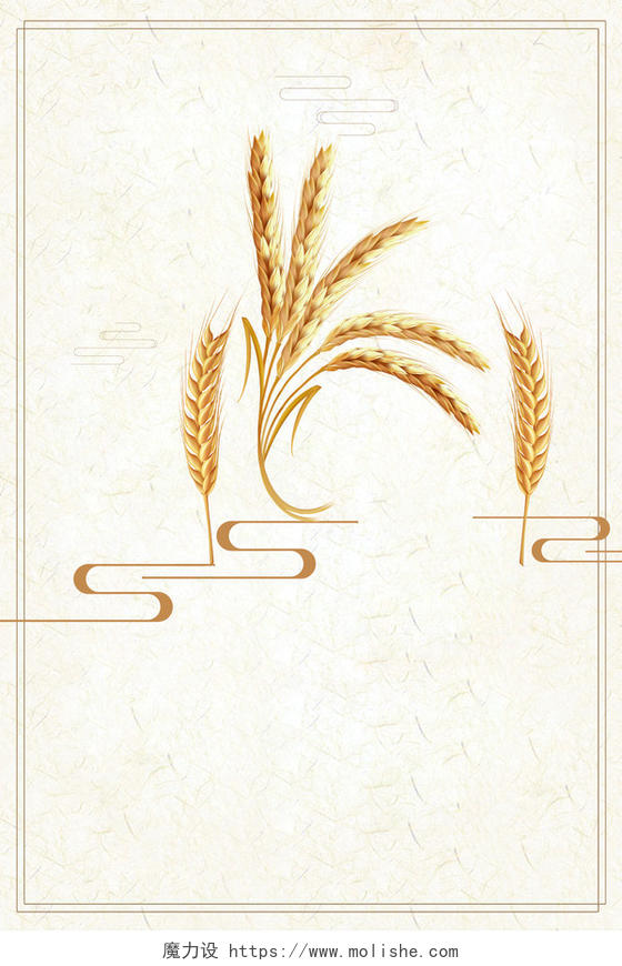 简单清新金色麦穗小满二十四节气传统白色海报背景